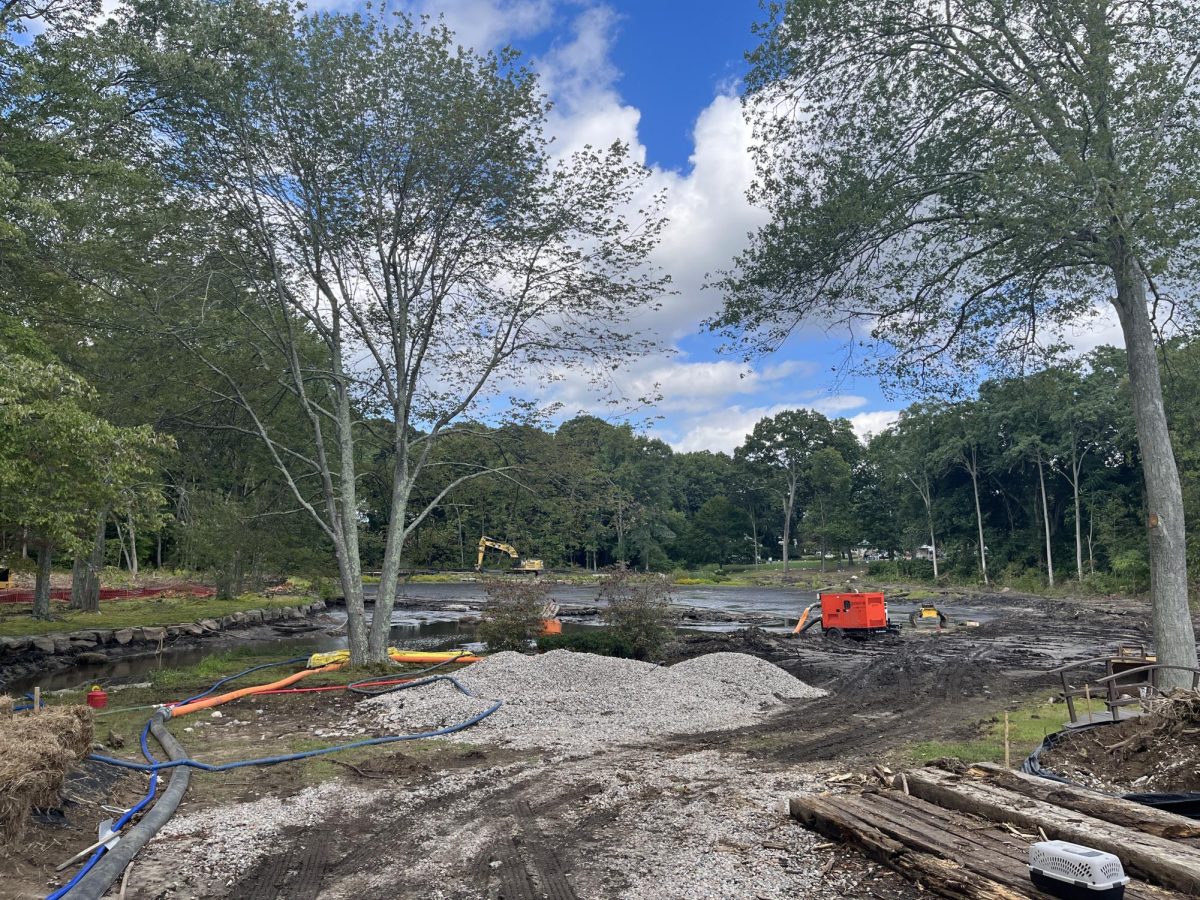 Construction at Waterford Duck Pond