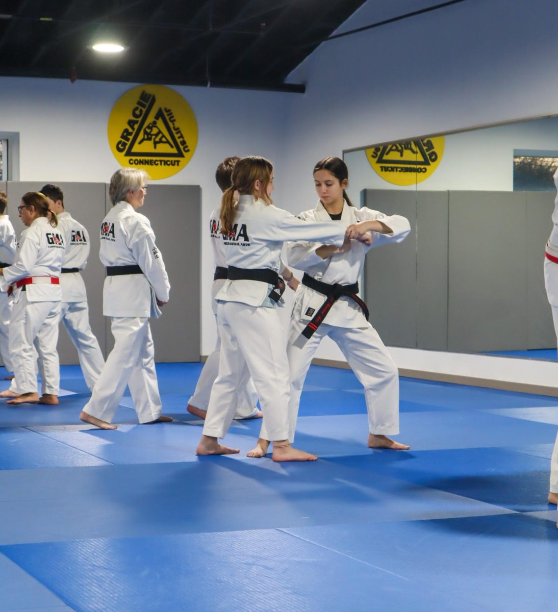 Martial Arts in Waterford