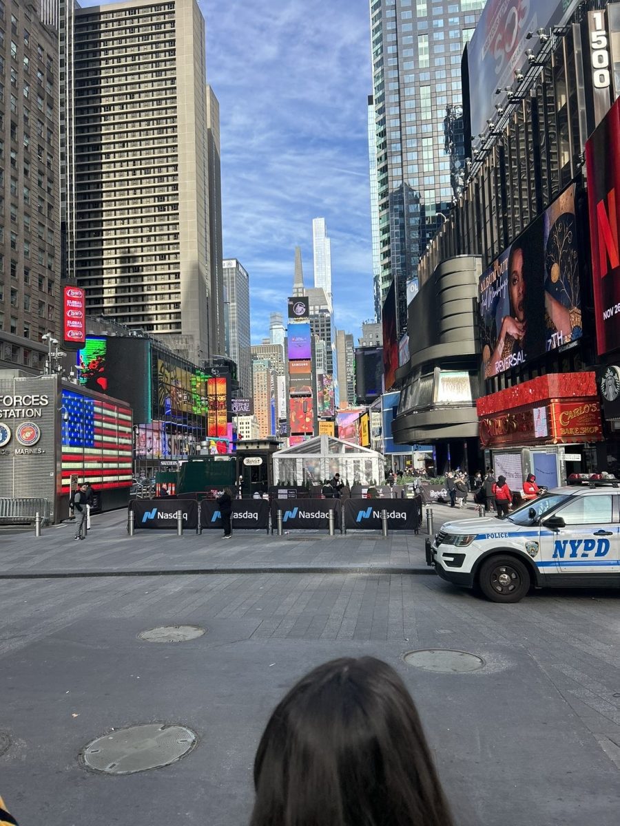 Picture in NYC