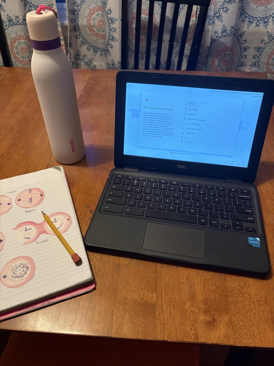 Study Habits