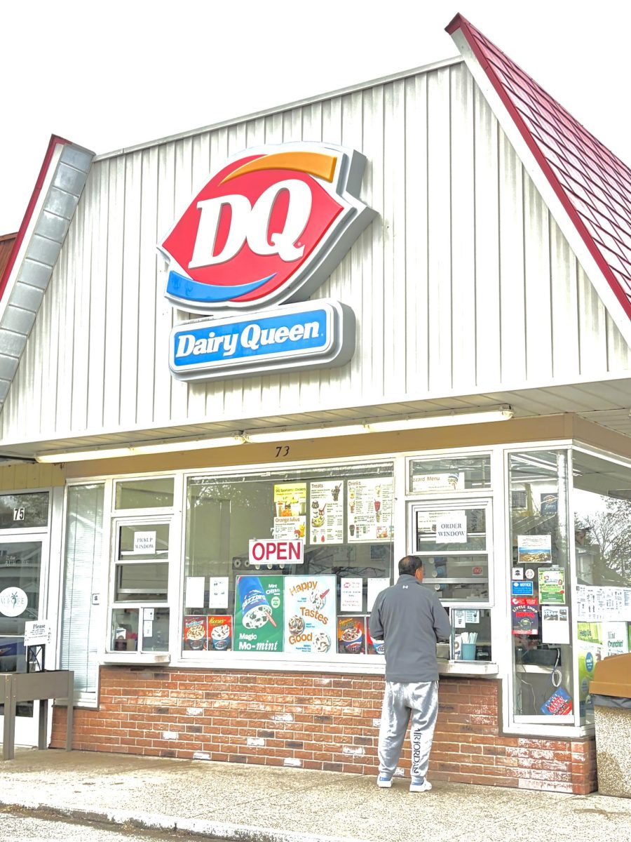 Dairy Queen Review